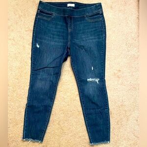 Lane Bryant Jeggings